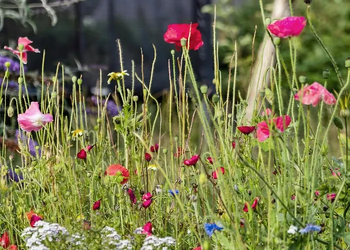 Family-friendly For Play And Relaxation *