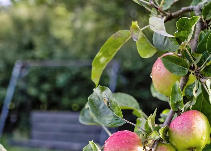 Family-friendly For Play And Relaxation * Nykøbing Sjælland